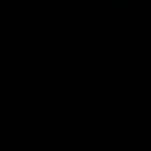 Meet your Posher, Cora